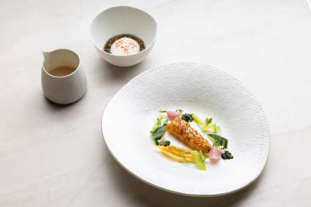 Plat gastronomique de poisson et légumes de saison au restaurant <span><span><span><span>1 Étoile Michelin </span></span></span></span>du Domaine du Liziec à Vannes